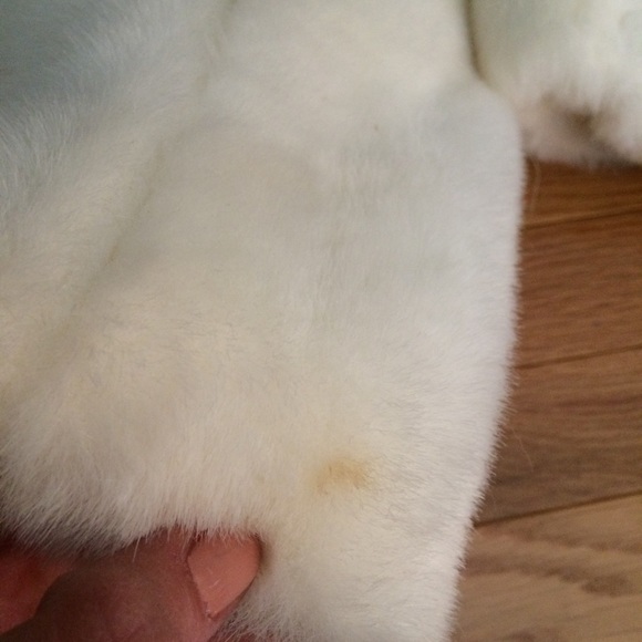 Ann Taylor LOFT Teddy Bear Cropped Coat - Picture 7 of 8